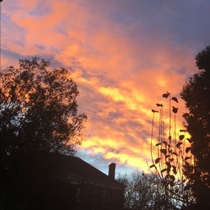 Meet your Posher, Sofia